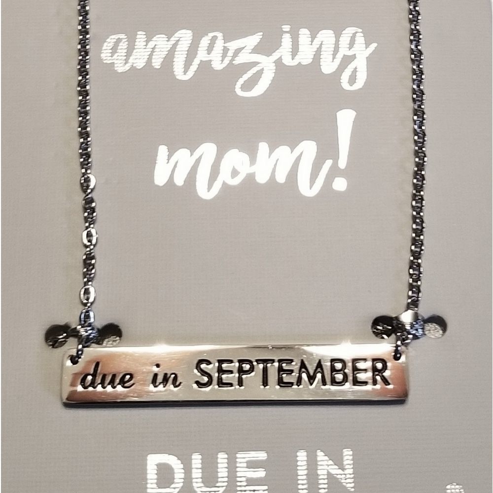 Baby is due in September Engraved Stainless Steel Necklace NEW - Picture 2 of 6